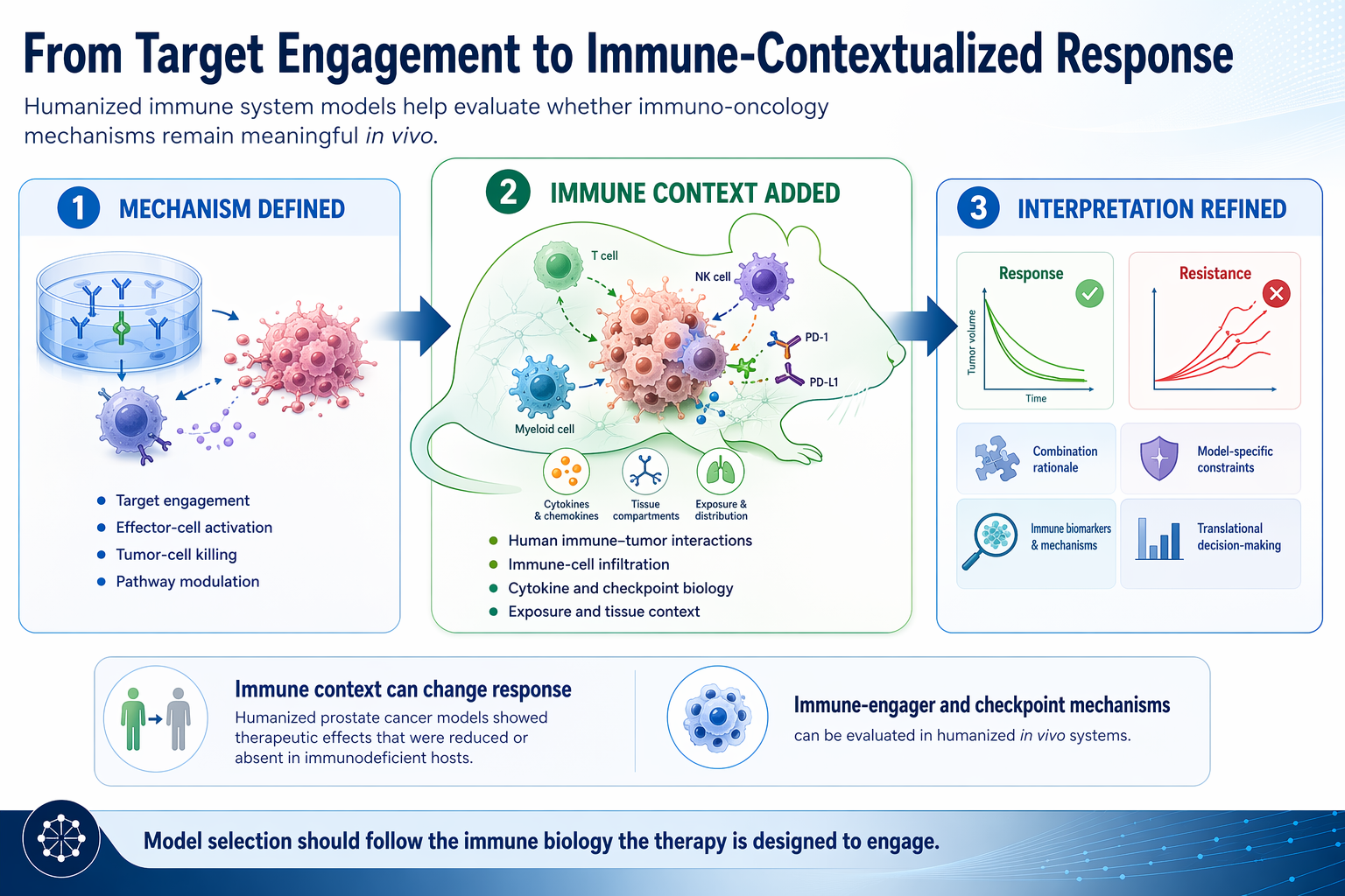 Why Immune Context Matters in Translational Immuno-Oncology 