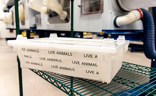 image of a transport cage