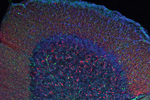 Assessing Host-Microbiota Relationships