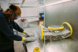 Breeding a New Generation of Germ-Free Lab Mice