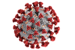 AAALAS' Commercial Partners Identify Ways to Support LAS Pros during COVID-19