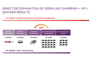 Expediting the Creation of Mouse Models