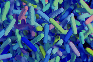 Cancer and the Microbiome