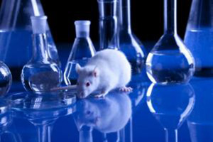 The role of immunodeficient animal models in advancing immuno-oncology research