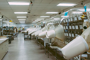 Pulling Back the Pre-Clinical Curtain