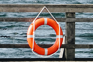 Rodents to the rescue