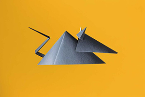 The changing landscape for licensing lab mice