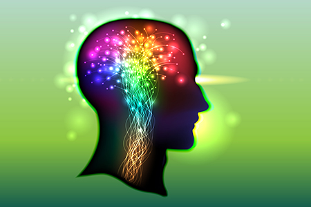 Fecal Microbiota Study Links Parkinson's Disease and the Microbiome