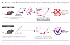 The Jh mouse permits clinically relevant dosing of immunogenic test articles in syngeneic tumor model systems