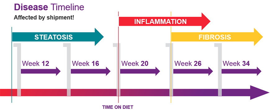 Graphical representation of Disease Timeline