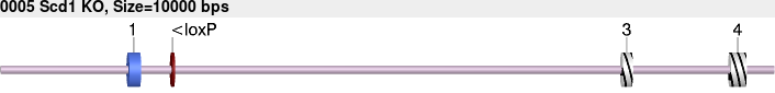 0005_Scd1_KO.gb.png