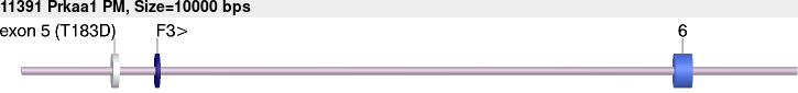 11391_Prkaa1_PM.gb.png