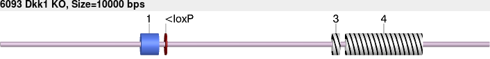 6093_Dkk1_KO.gb.png