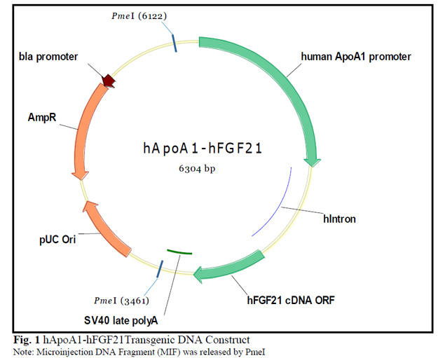 10181chart-allele.jpg