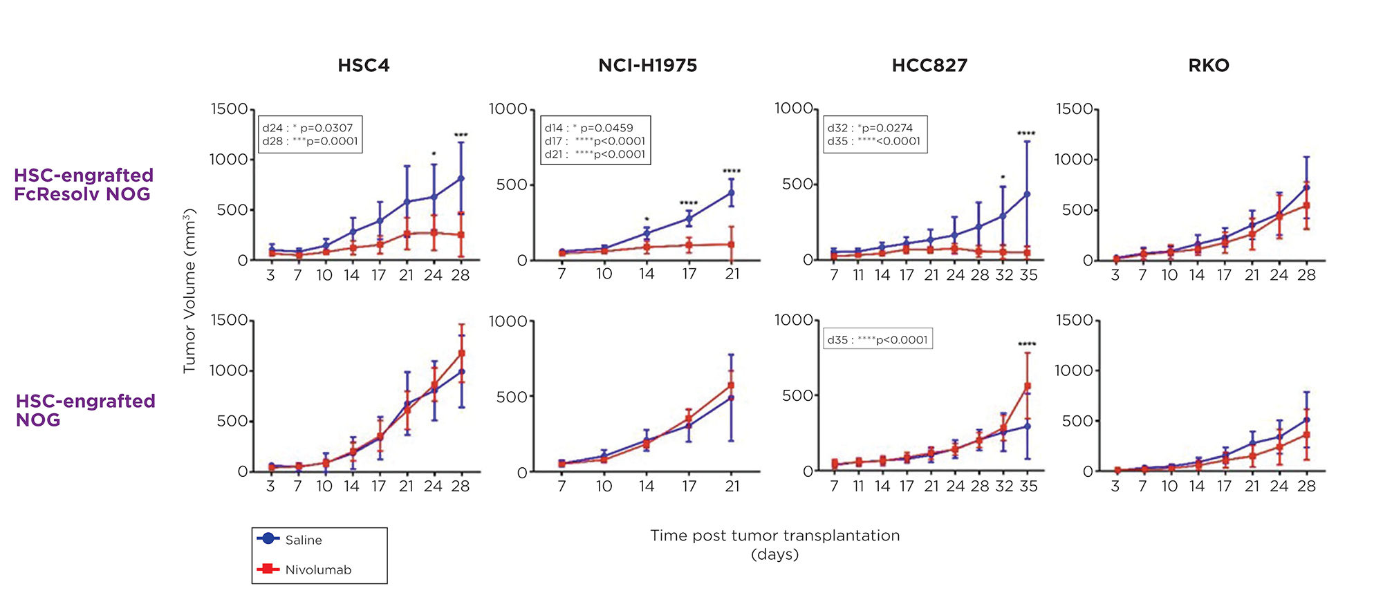 Ablating murine FcgR activity enables accurate detection of immunotherapy efficacy in humanized mice engrafted with tumors. Nivolumab (anti-PD1) does not suppress tumor growth in HSC-engrafted NOG mice (bottom row) but displays anti-tumor efficacy in HSC-engrafted FcResolv NOG mice (top row).