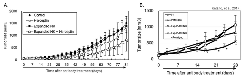 In vivo antibody-dependent cell-mediated cytotoxicity (ADCC) activity human NK-cell engrafted hIL-15 transgenic NOG