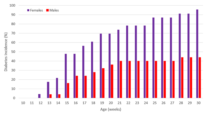 Percentage of diabetes incidence and age in weeks in NOD mouse production colony