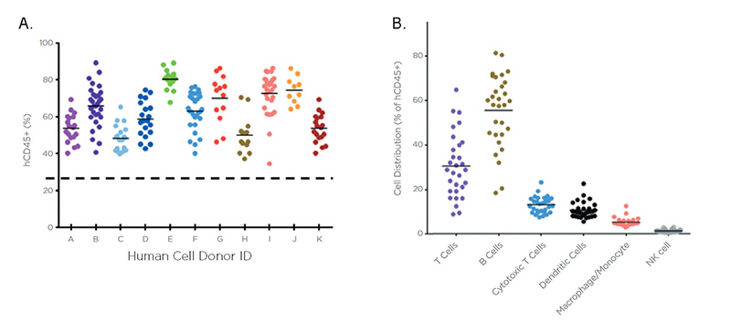 Stable engraftment with significant improvement in myeloid lineage reconstitution and overall cellularity