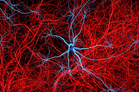 Ali Zahalka Wins AACR 2017 Travel Award