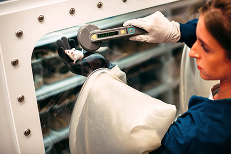 animal health standards