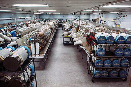 Are Gnotobiotic Isolators Always Necessary?