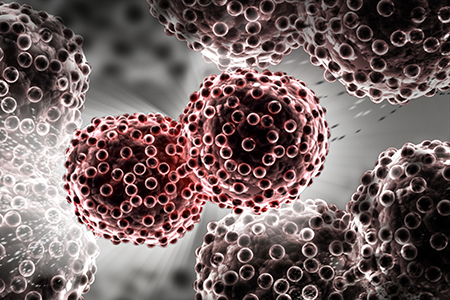 Benefits of Humanized Mice for CAR-T Immunotherapy Studies Benefits of Humanized Mice for CAR-T Immunotherapy Studies