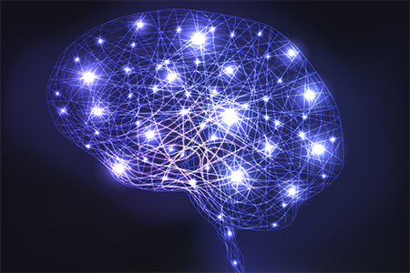 Brain Connections Neurons