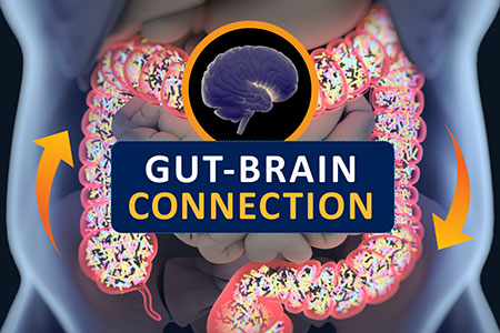 Can Anxiety Phenotypes Transfer via FMT?