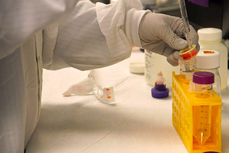 Considerations for Rodent Irradiation