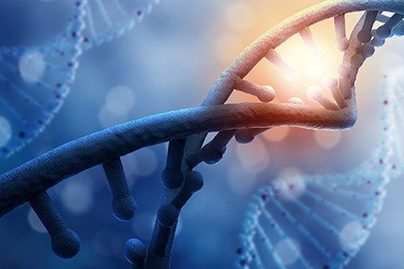 A Simple Guide to CRISPR