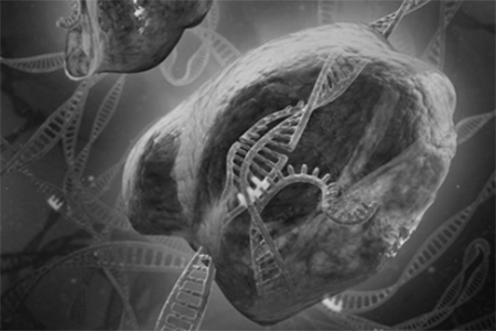 CRISPR DNA crispr dna