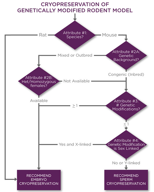 Cryopreservation Decision Tree