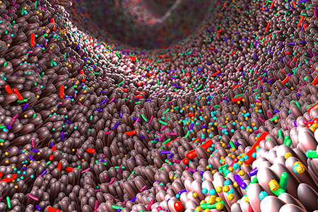 Defined Microbiome Profiles Can Improve Mouse Model Predictability