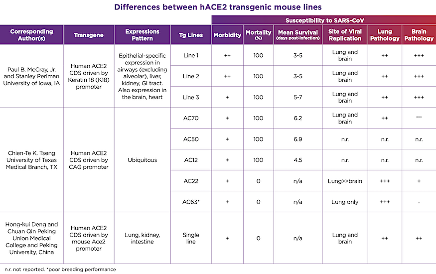 hACE2 Mice