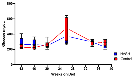 Fasting blood glucose levels did not significantly change from controls at any of the time points measured when exposed to modified AMLN diet