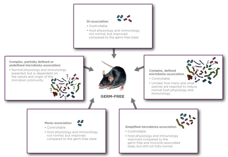 Foundational Gnotobiotics Concepts Foundational Gnotobiotics Concepts