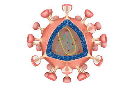 HIV Drug Efficacy Affected by Microbiome Composition