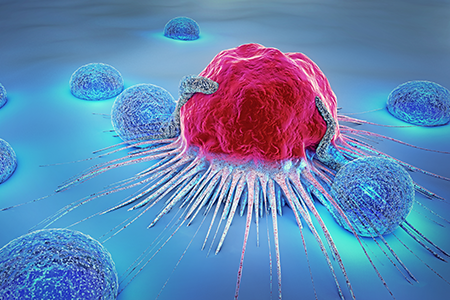 How Humanized Immune System Models Are Enhancing Biologics Drug Discovery