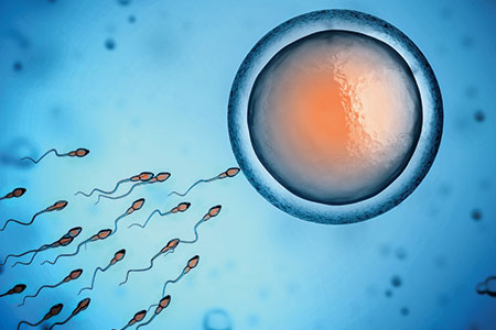 Introduction to Embryo Cryopreservation