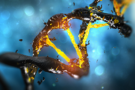 Iron, Oxidative Stress, and Cancer Risk