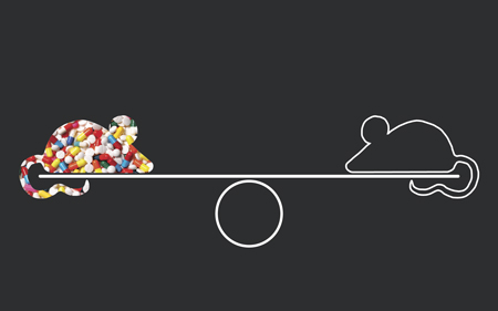 Fecal Microbiota Transplant Studies