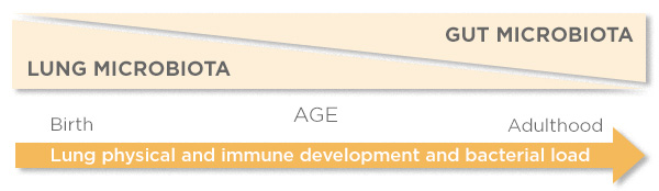 Theoretical Importance of Microbiota