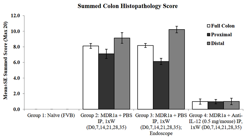 Mdr1a knockout mice spontaneously develop colitis, as demonstrated by comparison of summed histopathology score between control FVB mice and Mdr1a mice treated with either PBS (vehicle control).  Anti-IL-12 treatment is efficacious at controlling colitis in Mdr1a mice. Data provided by Bolder BioPATH.  Download the full data package, including protocol information, body weight change, endoscope scores and representative endoscopy images, disease activity scores, colon weights, histopathology scores and efficacy of anti-IL-12 treatment.