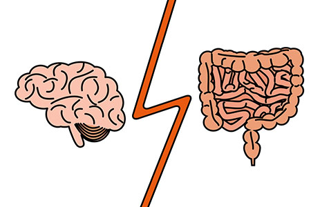 The Microbiome and Visceral Pain