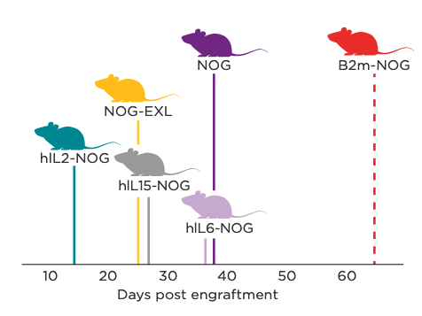 Graphical representation of terminal-stage GvHD onset in NOG Portfolio models