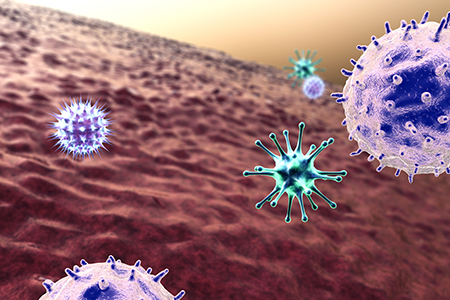 Novel Humanized Mouse Model Mirrors Patient Responses to Immunotherapy