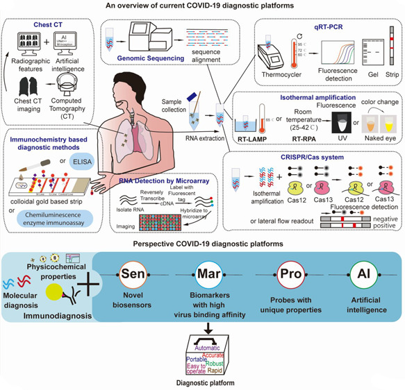 Current and Perspective Diagnostic Techniques for COVID-19