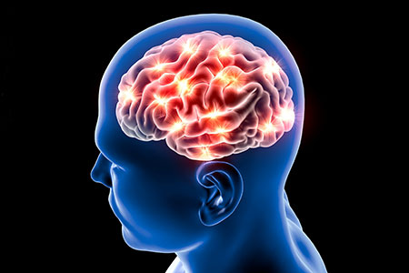 Parkinson's Disease Model with Endogenous LRRK2 Regulation