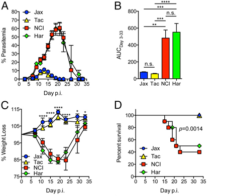 Composition of the gut microbiota modulates