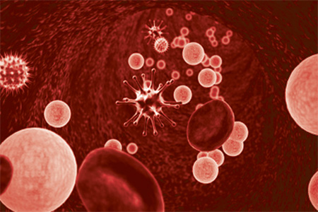 red blood cells